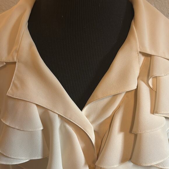 Vintage Rafaella Ruffle Blouse Sz 14 Quiet Luxury Old Money Unique Collar - Picture 3 of 7